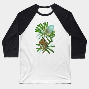 Banksia Flower Baseball T-Shirt
